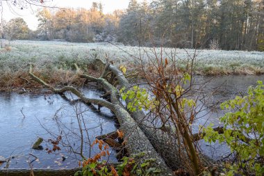 Westphalia 'da bir şatoda sonbahar zamanı