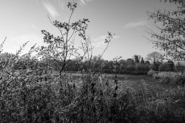 Westphalia 'da bir şatoda sonbahar zamanı