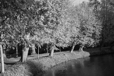 Westphalia 'da bir şatoda sonbahar zamanı