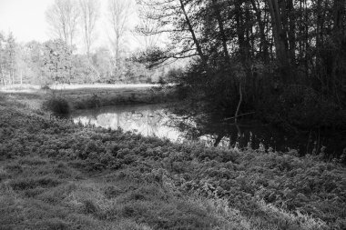 Westphalia 'da bir şatoda sonbahar zamanı