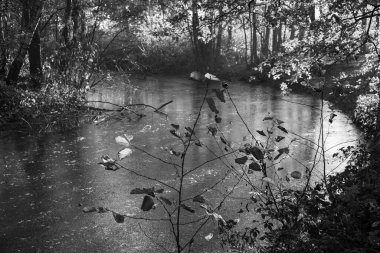 Westphalia 'da bir şatoda sonbahar zamanı