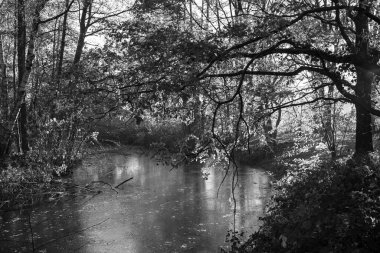 Westphalia 'da bir şatoda sonbahar zamanı