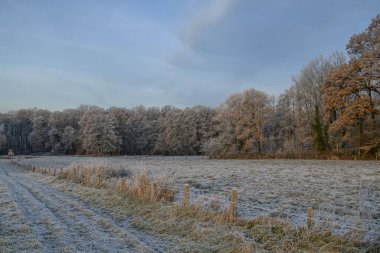 Almanya 'da kış günü