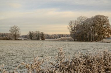Almanya 'da kış günü