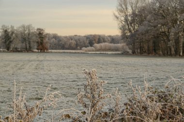 Almanya 'da kış günü