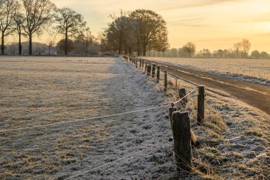 Almanya 'da kış günü