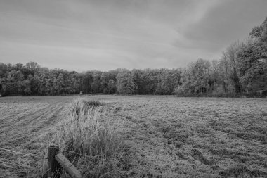 Almanya 'da kış günü