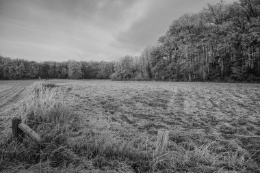 Almanya 'da kış günü