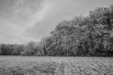Almanya 'da kış günü