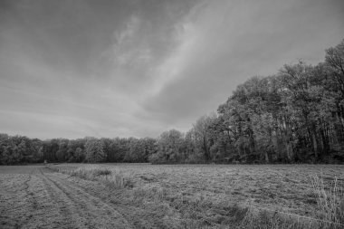 Almanya 'da kış günü