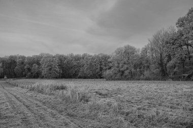 Almanya 'da kış günü