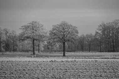 Almanya 'da kış günü