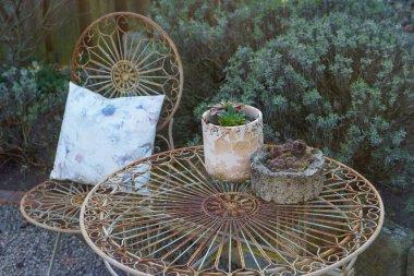 Bir Alman bahçesinde yaz mevsimi