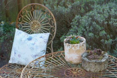 Bir Alman bahçesinde yaz mevsimi