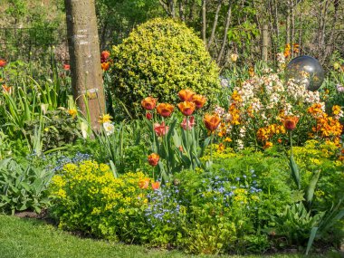 Bir Alman bahçesinde yaz mevsimi