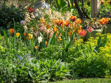 Bir Alman bahçesinde yaz mevsimi