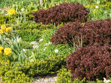 Bir Alman bahçesinde yaz mevsimi