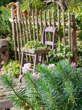 Bir Alman bahçesinde yaz mevsimi