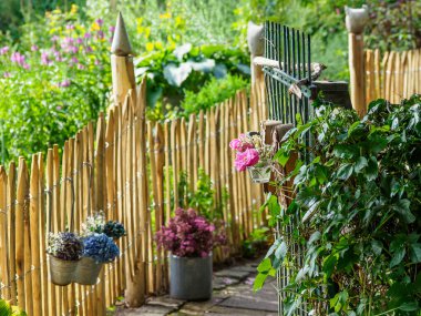 Bir Alman bahçesinde yaz mevsimi