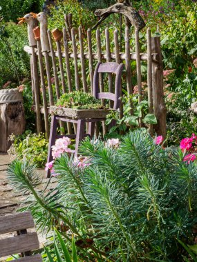 Bir Alman bahçesinde yaz mevsimi