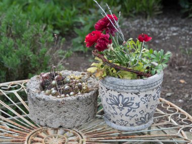 Bir Alman bahçesinde yaz mevsimi