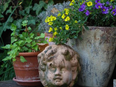 Bir Alman bahçesinde yaz mevsimi