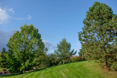 Bir Alman bahçesinde yaz mevsimi