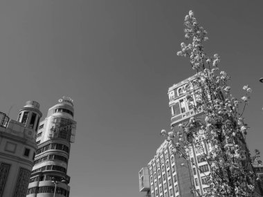 Madrid şehri İspanya 'da.