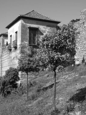 İspanya 'daki Malage şehri.