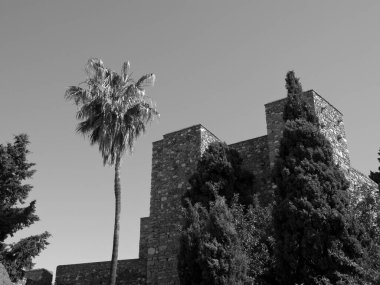 İspanya 'daki Malage şehri.