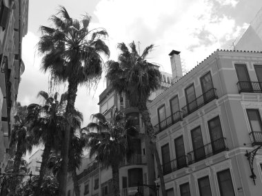 İspanya 'daki Malage şehri.