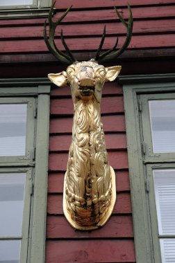 Norveç 'in güzelliği