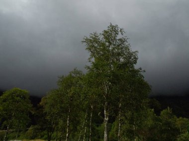 Norveç 'in güzelliği