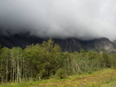 Norveç 'in güzelliği