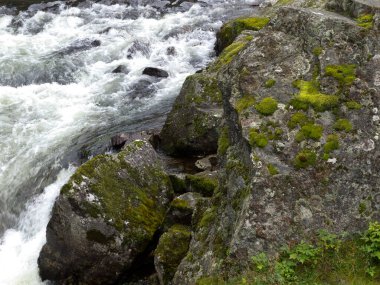 Norveç fiyortları içinde seyir