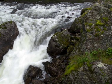Norveç fiyortları içinde seyir