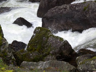 Norveç fiyortları içinde seyir