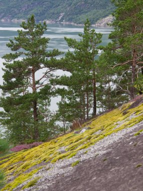 Norveç 'in güzelliği