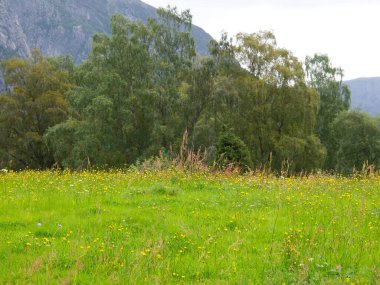 Norveç 'in güzelliği