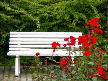 Norveç 'in güzelliği