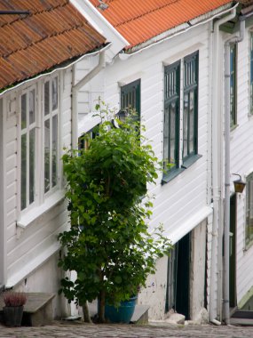 Norveç 'in güzelliği