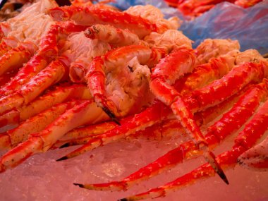 Norveç 'in güzelliği