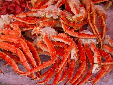 Norveç 'in güzelliği