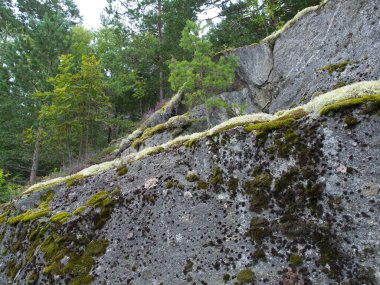 Ship cruise in the norwegian fjords