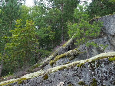 Ship cruise in the norwegian fjords
