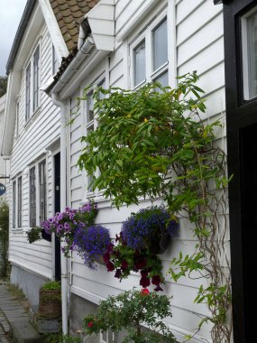 Ship cruise in the norwegian fjords