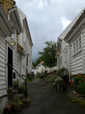 Ship cruise in the norwegian fjords