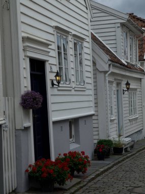 Ship cruise in the norwegian fjords