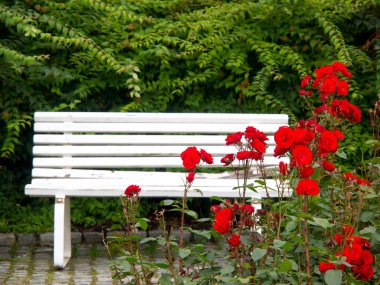 Ship cruise in the norwegian fjords