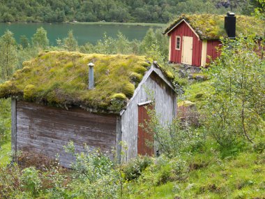 Ship cruise in the norwegian fjords
